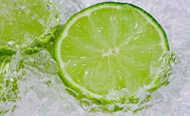 Resultado de imagen para limon congelado