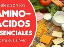 cuales son los aminoacidos esenciales y para que sirven