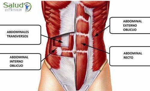dieta para quemar grasa corporal rapidamente Varias dieta para quemar grasa corporal rapidamente consider