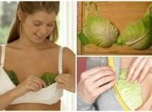 repollo para dolor de los senos