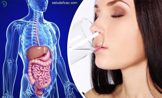 metabolismo ralentizado hoja cheet