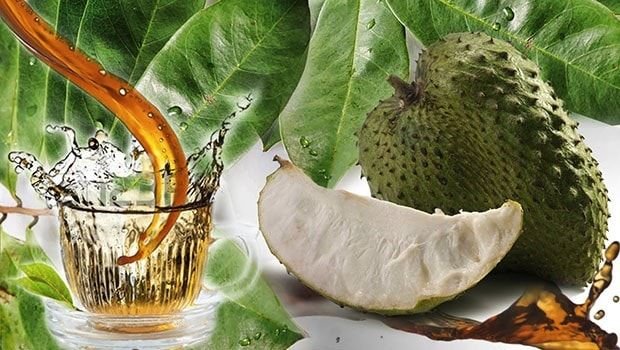 cómo hacer te de hojas de guanábana y cuáles son sus beneficios