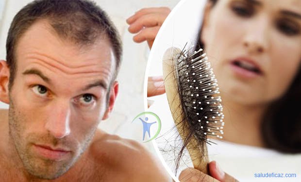 alimentos para la caida del cabello mujeres que se puede usar para la ca 237 da del pelo en hombres y mujeres alimentos para la caida del cabello mujeres que se puede usar para la ca 237 da del pelo en hombres y mujeres